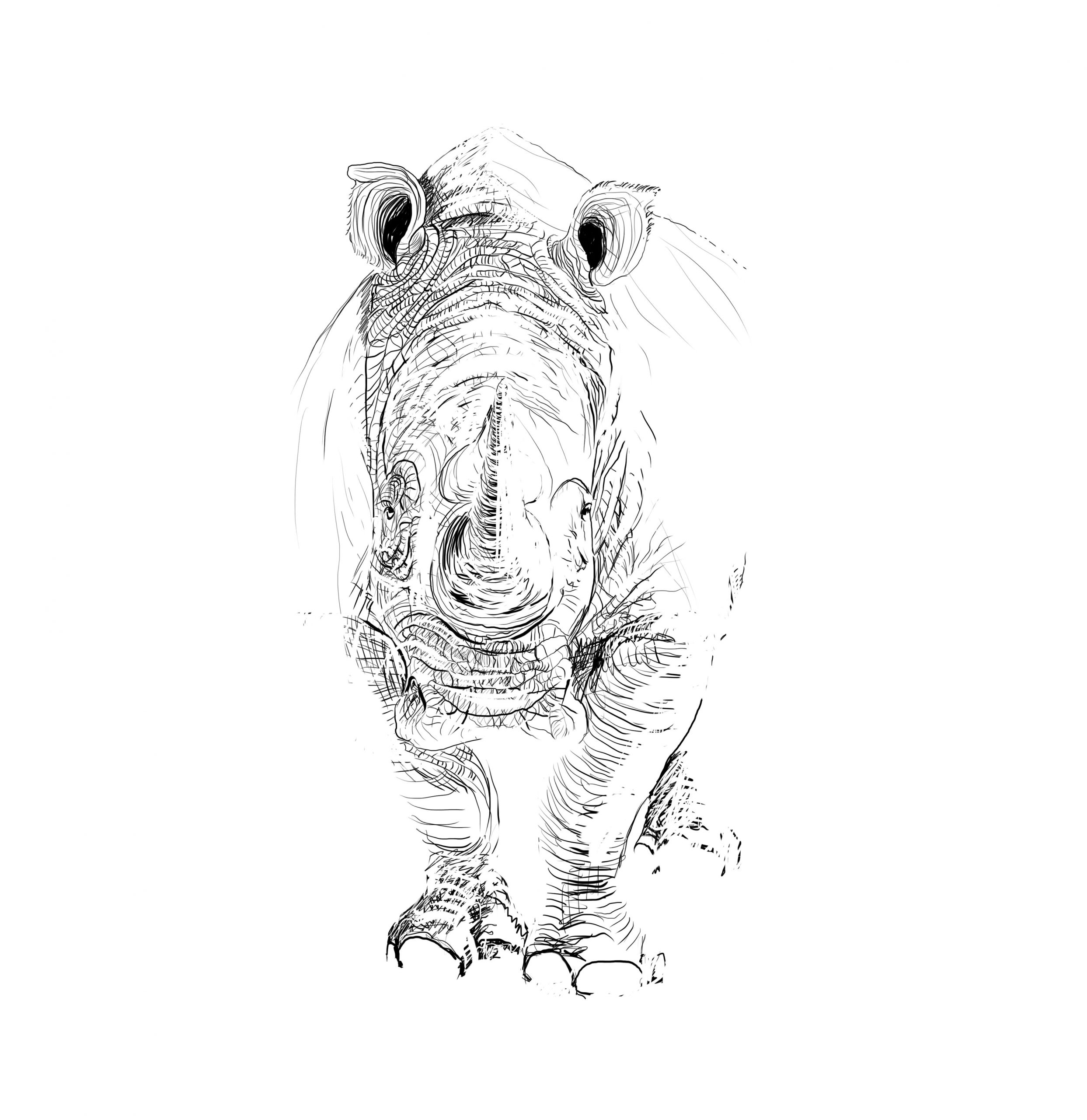 Rhinoceros Rhinoceros